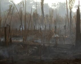 De la Amazonía al Pantanal, la crisis climática se instala en Brasil