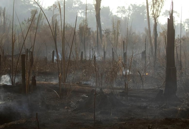 De la Amazonía al Pantanal, la crisis climática se instala en Brasil