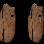El primer adorno personal decorado de Eurasia tiene 41.500 años