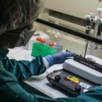 El primer capítulo de la ambición de clonar humanos cumple 20 años