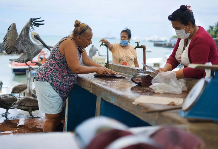 Galápagos, ejemplo mundial de desarrollo de sistemas de alimentos de mar