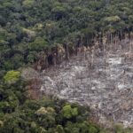 La colaboración público privada, esencial en la lucha contra cambio climático