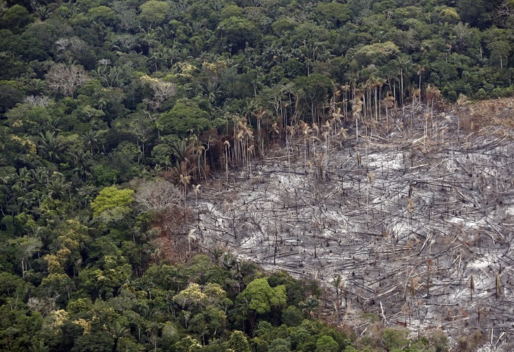 La colaboración público privada, esencial en la lucha contra cambio climático