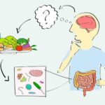 La diversidad de la microbiota de los TEA podría deberse a su alimentación