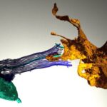 Las esponjas acuáticas podrían tener pistas sobre el origen del cerebro