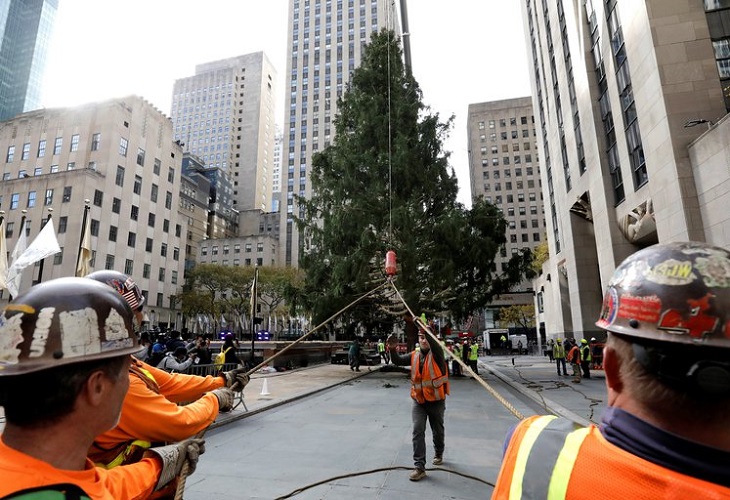 Llega a Nueva York árbol del Rockefeller Center que marca inicio de Navidad