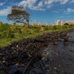 ONG dice que el 90 % de orilla del lago venezolano de Maracaibo tiene basura