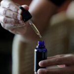 Panamá, a las puertas de reglamentar la ley de uso legal del cannabis