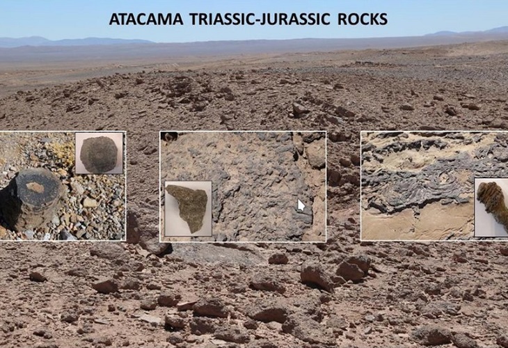Tecnología para detectar vida en rocas de Atacama se podría replicar en Marte