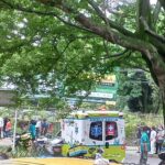 Muere peatón tras accidente por el Hotel Dann Carlton, avenida El Poblado