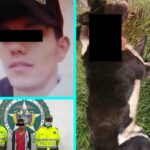 Rex, el perro murió a puñaladas salvando a su dueña de un ataque a cuchillo en Zipaquirá