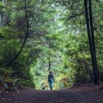 Adentrarse en un bosque reduce los niveles de cortisol, la hormona del estrés