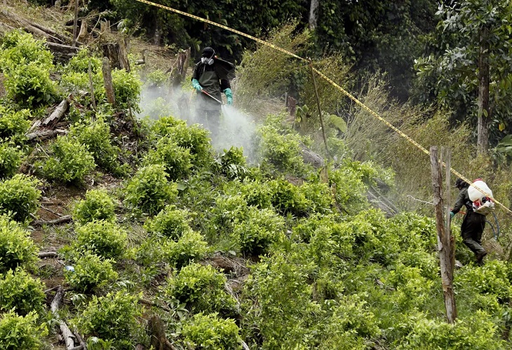 Colombia ha incautado más de 622 toneladas de cocaína en lo que va de 2021