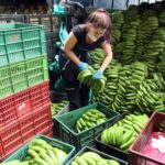 Colombia tiene un panorama económico alentador para 2022, según el BTG Pactual