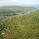 El conocimiento local permite mejorar el control de la fauna en la Amazonía