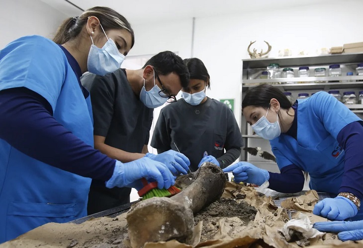 Exhuman en Colombia los restos de uno de los elefantes más longevos del mundo