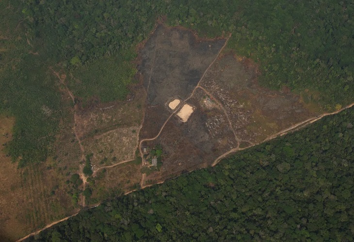 La deforestación de la Amazonía cae un 19,45 % en noviembre
