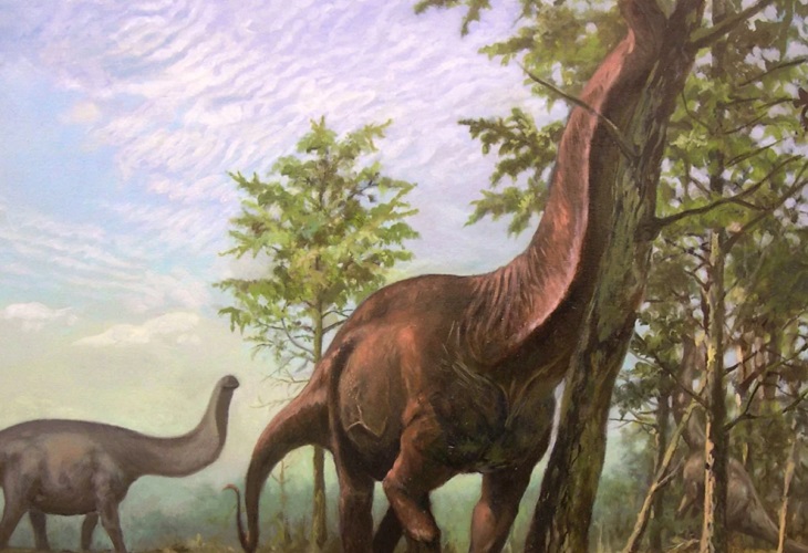 Los dinosaurios gigantes saurópodos de cuello largo preferían las regiones cálidas