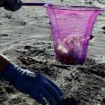 Voluntarios y ciencia ciudadana, aliados frente a la basuraleza