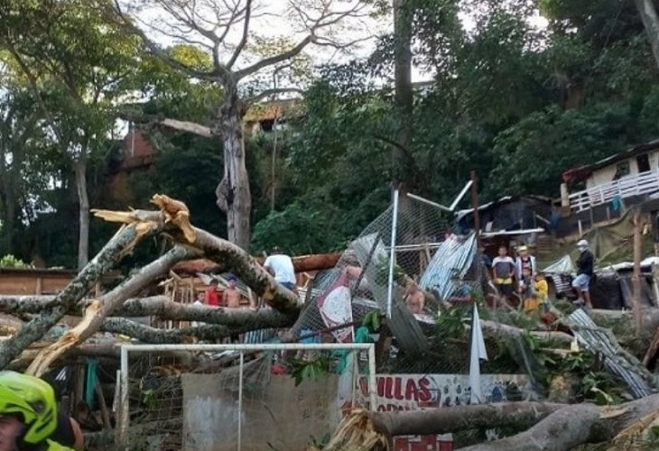 Un árbol cayó sobre casas en Villas de Girardot y mató a 2 personas