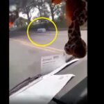 Carro con ataúd se quemó en la vía Planeta Rica- La Apartada
