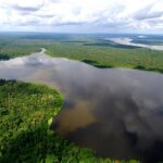 Amazonía