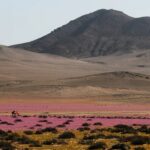 El agua del Amazonas llega hasta el árido desierto de Atacama