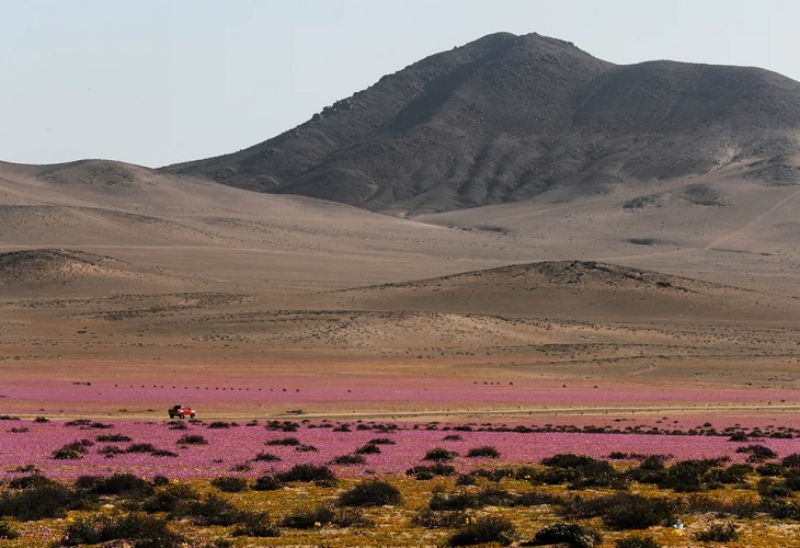 El agua del Amazonas llega hasta el árido desierto de Atacama