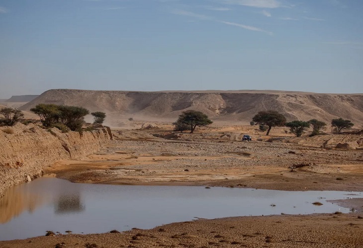 El director del Dakar no se plantea parar la carrera tras la explosión