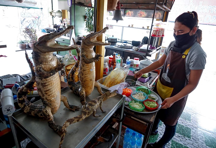 El precio del cerdo dispara la demanda de carne de cocodrilo en Tailandia