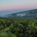 Francia quiere acabar con la competencia desleal de los alimentos importados