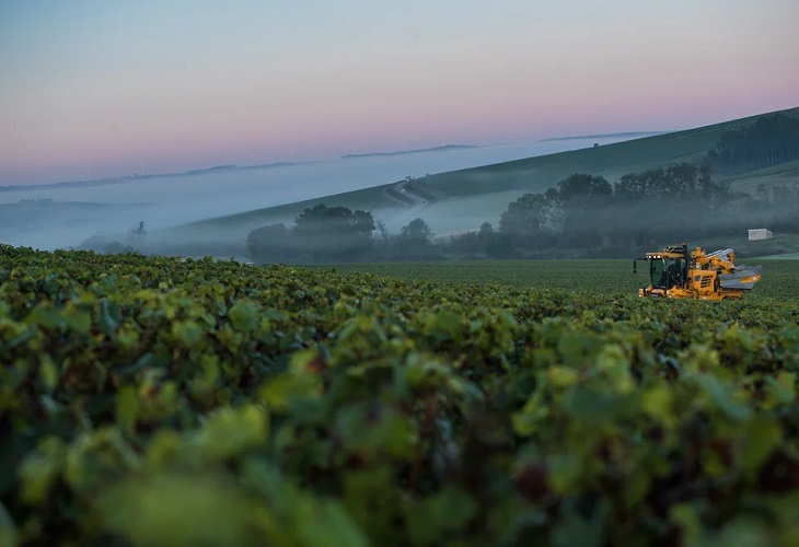 Francia quiere acabar con la competencia desleal de los alimentos importados