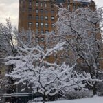 La ciudad de Nueva York amanece cubierta con la primera nieve del año