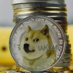 Musk acepta la criptomoneda dogecoin para la compra de mercadotecnia de Tesla