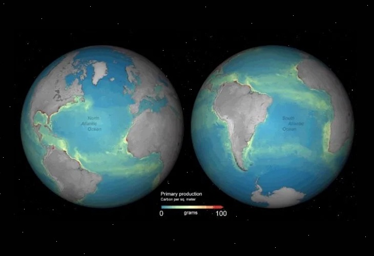 Reconstruyen las condiciones ambientales de hace 570 millones de años