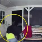 Un hombre en Florida se enfrenta a oso en su casa para proteger a sus perros