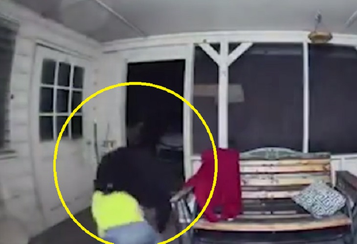 Un hombre en Florida se enfrenta a oso en su casa para proteger a sus perros