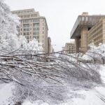 Una fuerte tormenta de nieve paraliza Washington durante horas