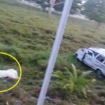 Muere una mujer en accidente en sector Santa Lucía, vía Arboletes
