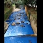 Aguas de la quebrada La Ayurá bajaron de color azul durante horas