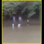 Miembros de Iglesia evangélica afirman ver visto ángeles en el río Telica, en Olancho