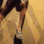 Acribillan a tiros a un hombre en barrio Los Laureles de Planeta Rica