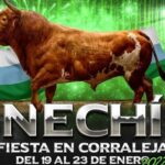 Nechí no tendría corralejas por no poder cumplir ordenanza sobre maltrato animal