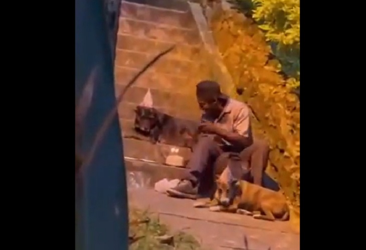 'Choko', el habitante de calle de Bucaramanga que celebró el cumple de sus perros