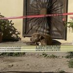 El perro de la asesinada periodista Lourdes Maldonado la está esperando en la puerta