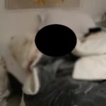 Fiscalía reveló fotos del crimen de Mauricio Leal y su mamá