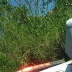 En Robledo Santa María mataron a un hombre y lo envolvieron
