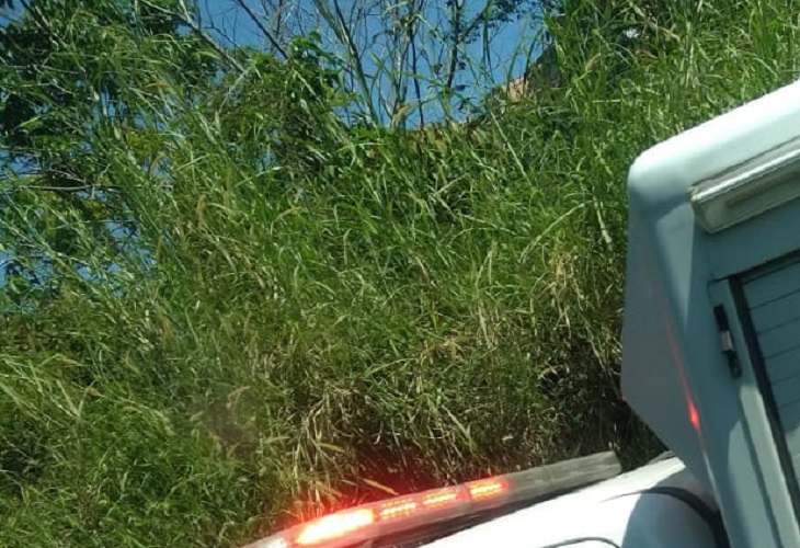 En Robledo Santa María mataron a un hombre y lo envolvieron