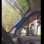 El falso decreto con el que un hombre no pagó un peaje en el Tolima