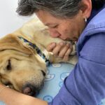 Murió el perro de Claudia López y Angélica Lozano